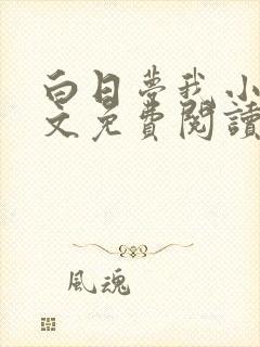 白日梦我小说全文免费阅读封面