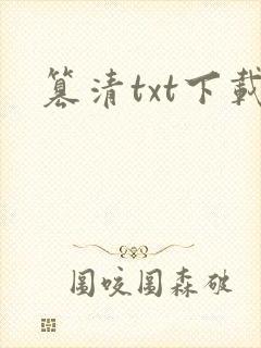 篡清txt下载封面