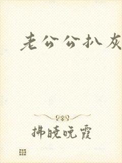 老公公扒灰小说