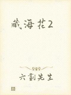藏海花2