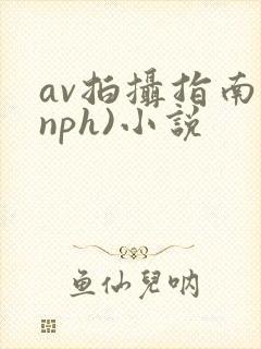 av拍摄指南(nph)小说