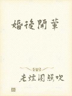婚后开荤封面