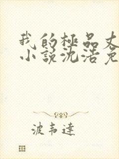 我的极品丈母娘小说沈浩免费阅读