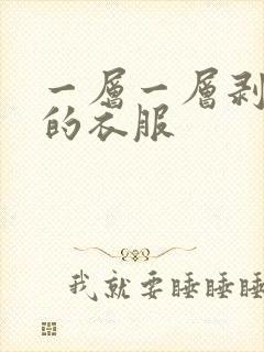 一层一层剥掉你的衣服