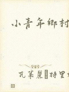 小青年乡村猎艳封面