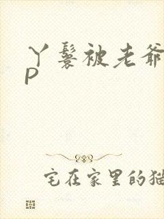 丫鬟被老爷玩NP