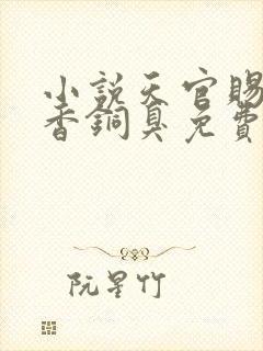 小说天官赐福墨香铜臭免费阅