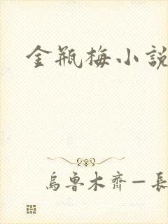 金瓶梅小说下载