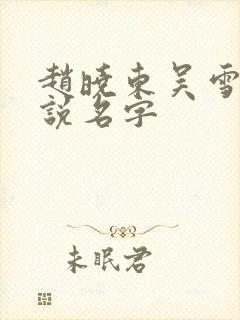 赵晓东吴雪晴小说名字