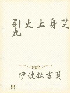 引火上身芝麻糖丸