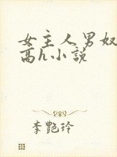 女主人男奴调教高h小说封面