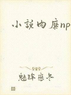 小说肉糜np封面