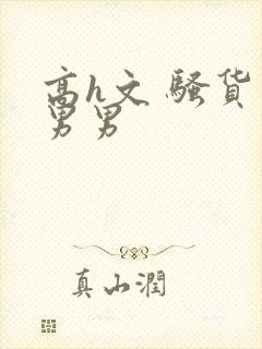 高h文 骚货 男男封面