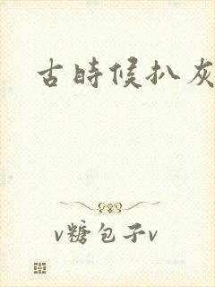 古时候扒灰小说