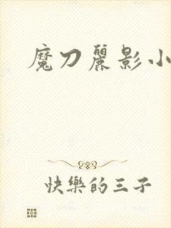 魔刀丽影小说
