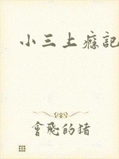 小三上瘾记