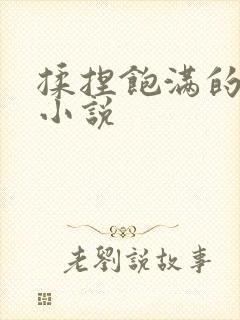 揉捏饱满的双乳小说