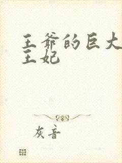 王爷的巨大进入王妃封面