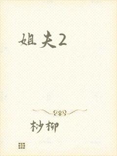 姐夫2