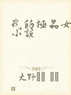 我的极品女老师小说