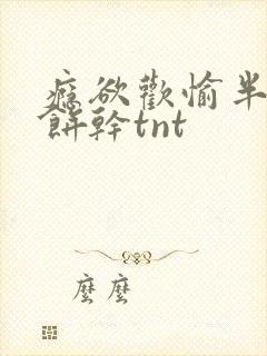 瘾欲欢愉半块小饼干tnt