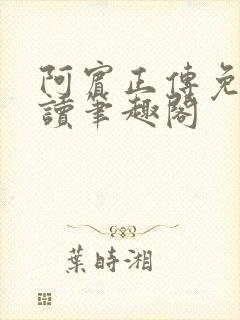 阿宾正传免费阅读笔趣阁封面