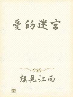 爱的迷宫