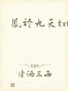 凤于九天txt