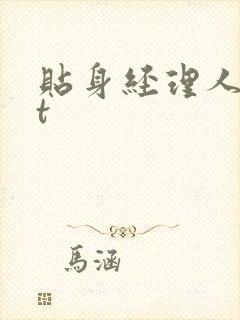 贴身经理人txt封面