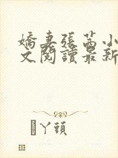 娇妻张茜小说全文阅读最新章节更新