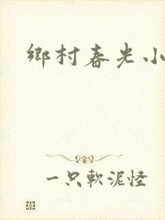 乡村春光小说封面