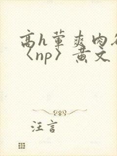 高h荤爽肉欲文〈np〉黄文