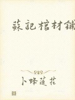 苏记棺材铺封面