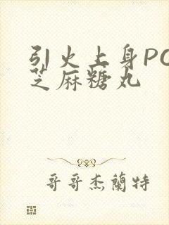 引火上身POP芝麻糖丸