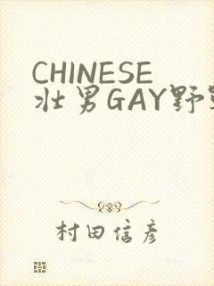 CHINESE壮男GAY野战强迫TUBE封面