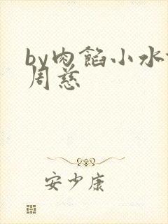 by肉馅小水饺周慈封面