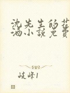 沈先生的花式调酒小说免费阅读封面