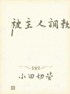 被主人调教1v1封面