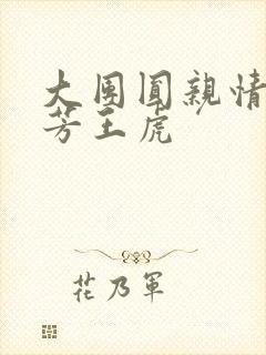 大团圆亲情会王芳王虎