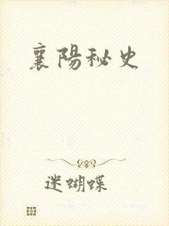 襄阳秘史