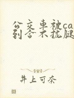 公交车被cao到合不拢腿视频