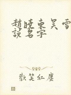 赵晓东吴雪晴小说名字