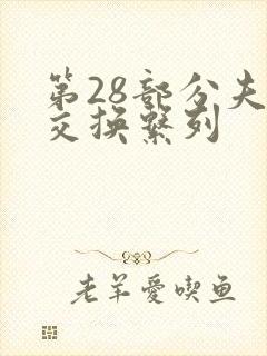 第28部分夫妇交换系列