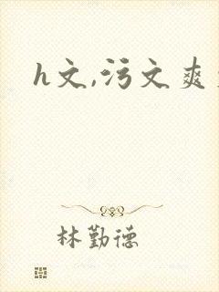 h文,污文爽文封面