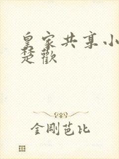 皇家共享小公主楚欢封面