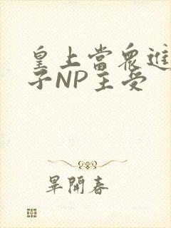 皇上当众进入太子NP主受