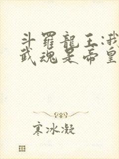 斗罗龙王:我的武魂是帝皇铠甲