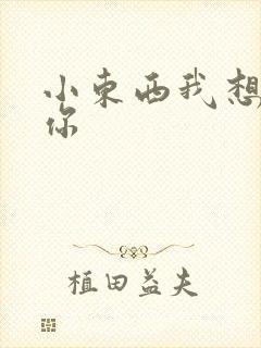 小东西我想弄坏你