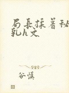 局长揉着秘书的乳h文封面