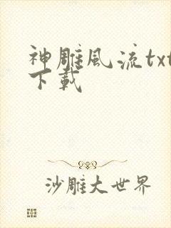 神雕风流txt下载